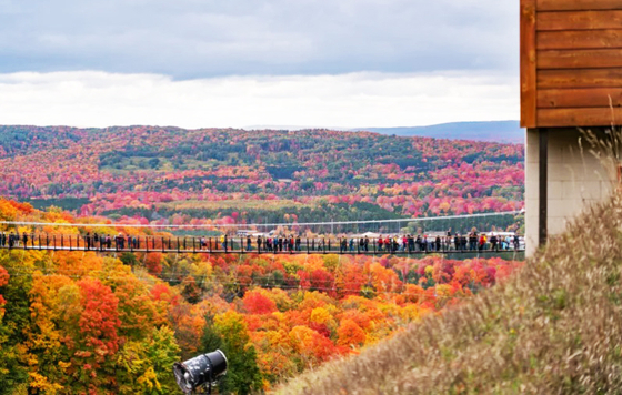 [Boyne Mountain Resort]