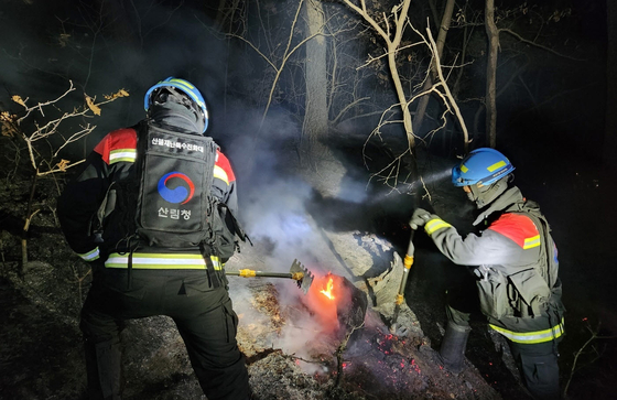 15일 오전 2시59분쯤 부산시 기장군 장안읍의 한 야산에서 산불이 발생하자 진화인력들이 진화작업을 벌이고 있다. [사진 산림청]