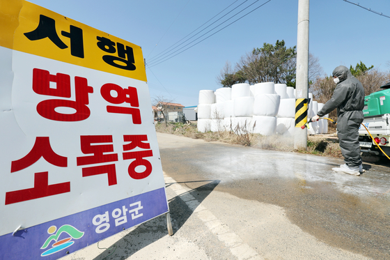 지난 14일 구제역이 발생한 전남 영암군 한 한우 농장 앞에서 방역당국 관계자가 소독약을 뿌리고 있다. 연합뉴스